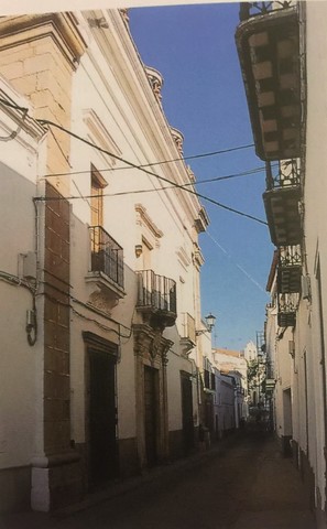 PALACIO DEL MARQUÉS DE RIANZUELA