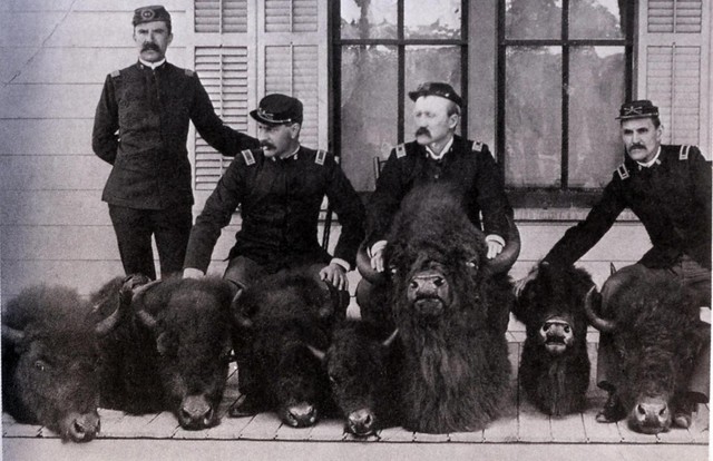 U.S. Army Runs the Park