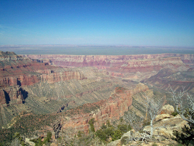 the grand canyon