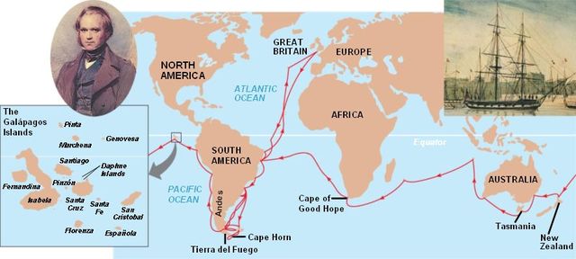The Voyage of the HMS Beagle
