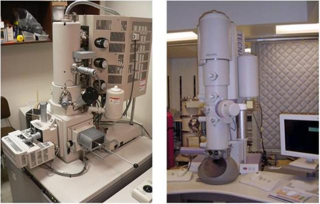 Primer microscòpi electronic