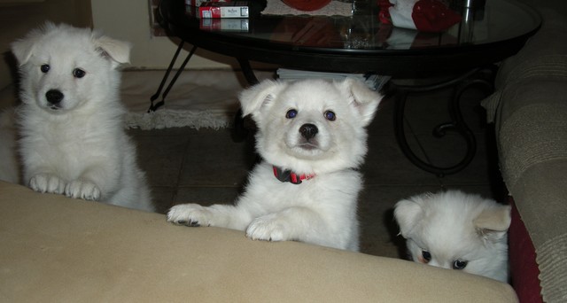 Seoul's children part 2