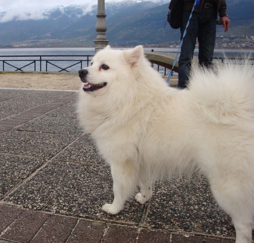 Seoul in Ioannina city