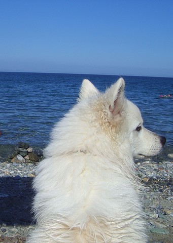 Seoul at the sea, Platamon Pieria