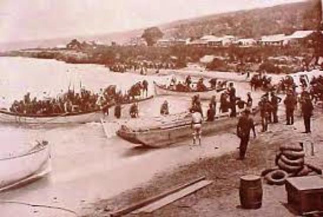 Pérdida de las colonias