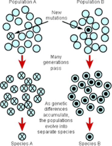 Theodosius Dobzhansky publishes "Genetics and the Origin of Species"