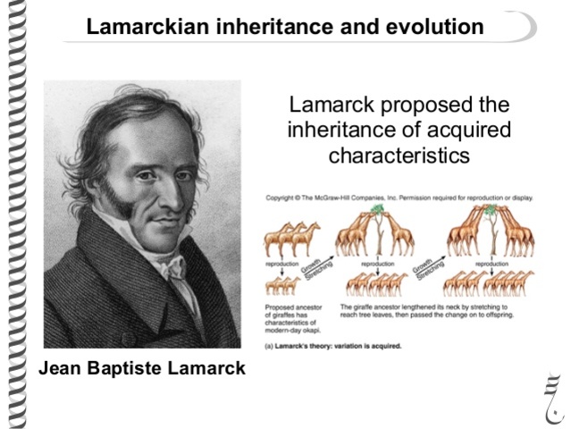 1809-  Lamarck develops Hypothesis of evolution by means of acquired characteristics