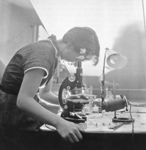 1952-  Rosalind Franklin works with DNA and X-Ray crystallography and develops “Image 51”