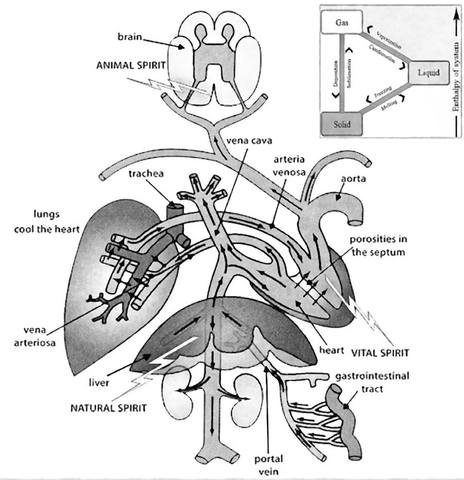 157- Galen of Pergamon describes the human body