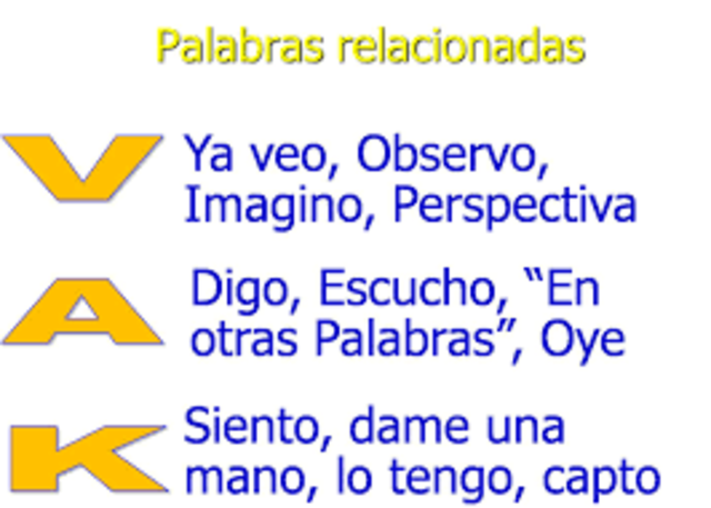 DIAGNOSTICO VISUAL, AUDITIVO Y KINESTÉSICO (VAK)