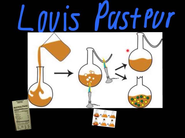 Louis Pasteur refutes spontaneous generation