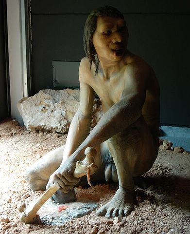 Homo heidelbergensis