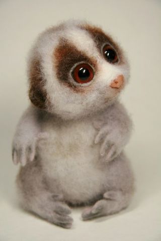 Loris, Lemures, Gálagos, Tartesos