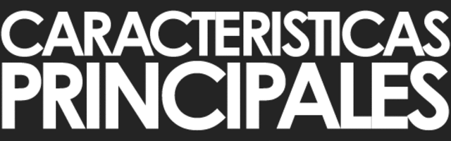 Características generales del período