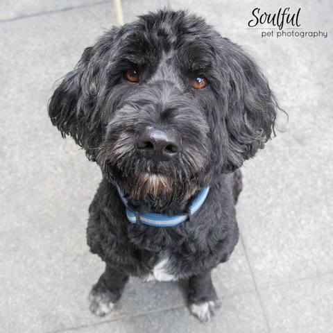 Braunch Party: ICP Oakland