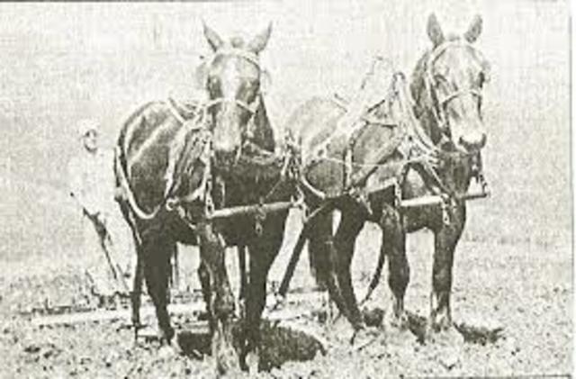 TW0-HORSE STRADDLE-ROW CULTIVATOR PATENTED