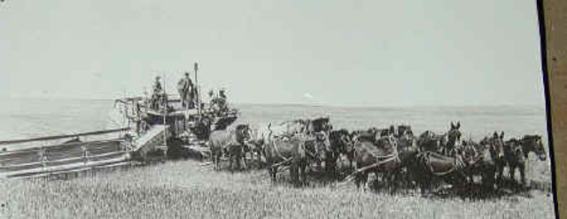 HORSE-DRAWN COMBINE
