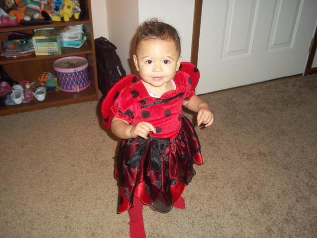 Intellectual Development - Month 16-18