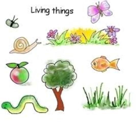Living Things