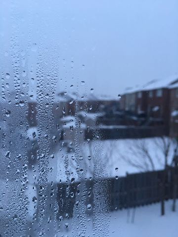 First time seen snow