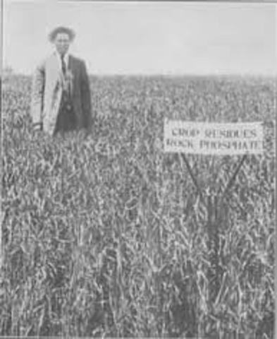 250-300 HOURS TO PRODUCE 100 BUSHELS OF WHEAT