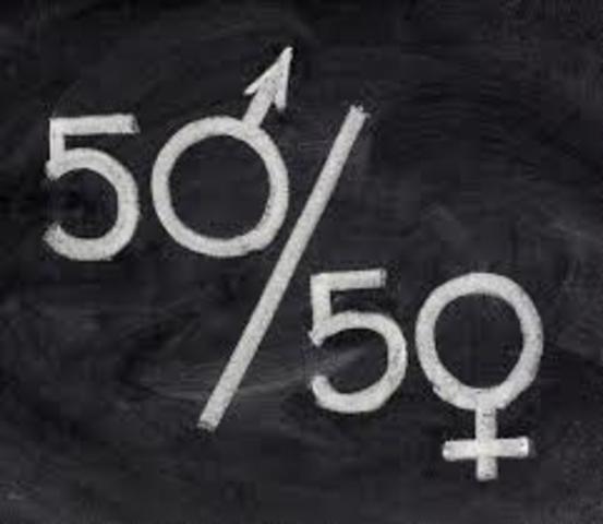 Feminist Movement 1960s and 1970s