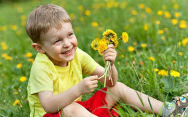 22-24 Months (Physical)