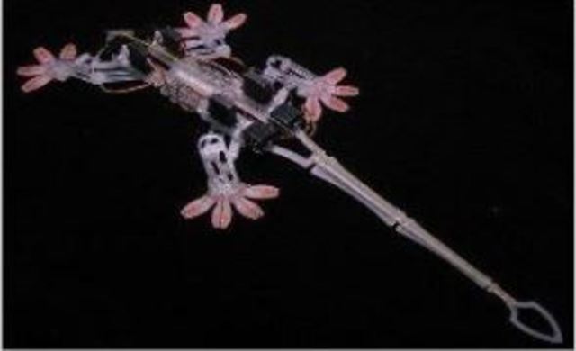 Styckibot (Sangbae Kim) robot inspirée par gecko