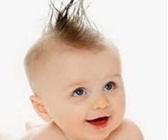 Started Growing Hair