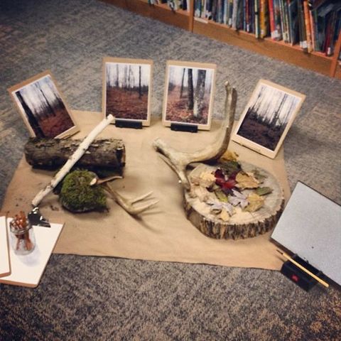 Megfigyelések eszközei