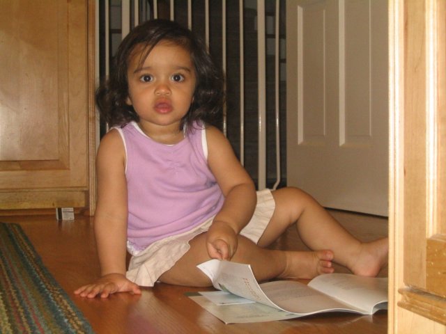 19 to 21 Months Intellectual