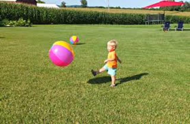 24-30 Months: physical