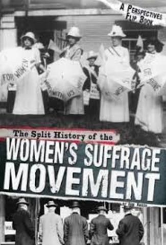 The Women's Rights Movement Splits