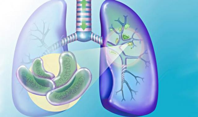 Descubrimiento del causante de la tuberculosis.