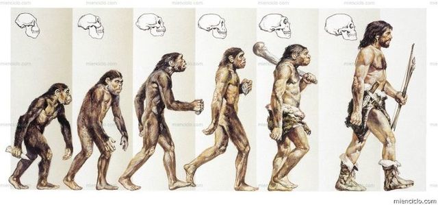 Proceso de hominización