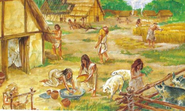 Edad de Piedra: Neolítico