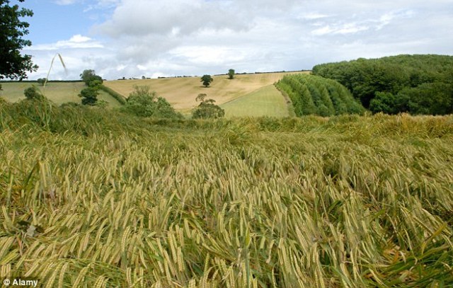 The Rebellions: Growing Discontent in Lower Canada (continuation 2)