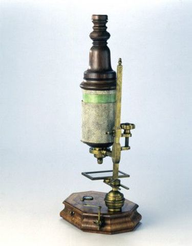 The Compound Microscope