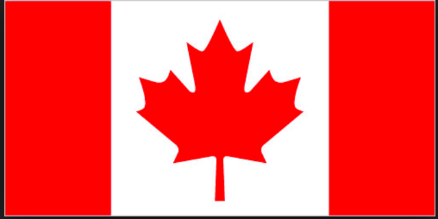 Contemporary period: Have they tried?(continuation 4)