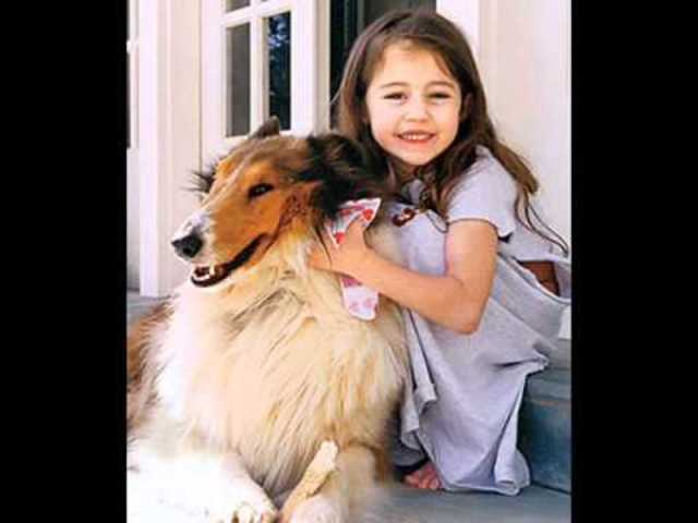 Beginnings of his career