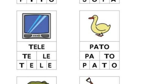 Intrevención individual  - componentes lectura