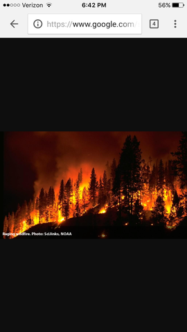 San Francisco earthquake + three day fire