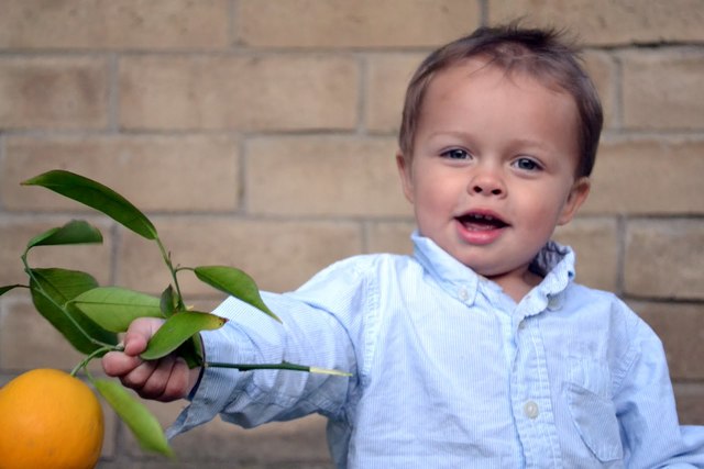 22-24 months intellectual development