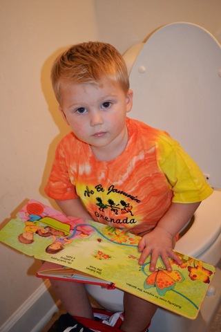 30-36 months intellectual development