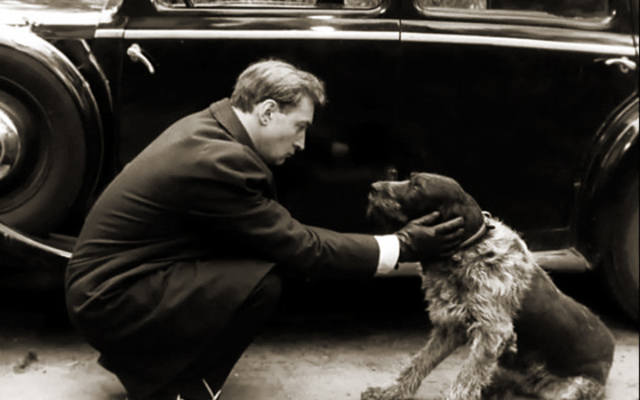 Неожиданный кадр