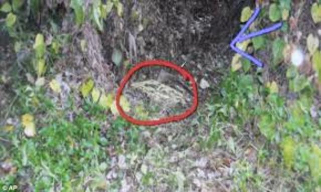 Skull Found Near Anthony's Home