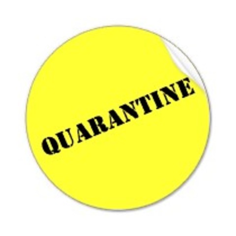 Dad and mom go into quarantine