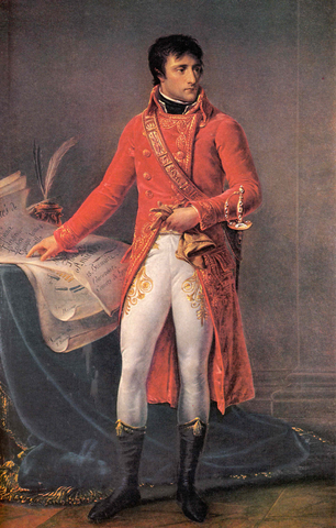 Napoleon, biziarteko kontsul