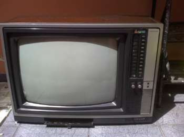Televisão