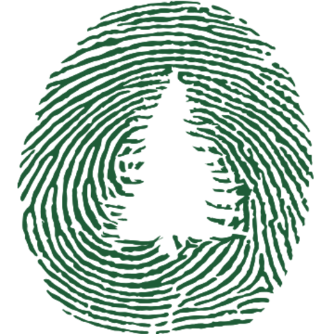 Power relations between environmentalist groups and the state